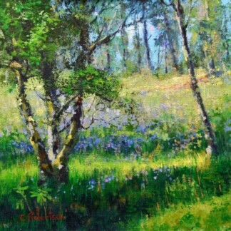 Image of Bluebells on the Birks by Colin Robertson